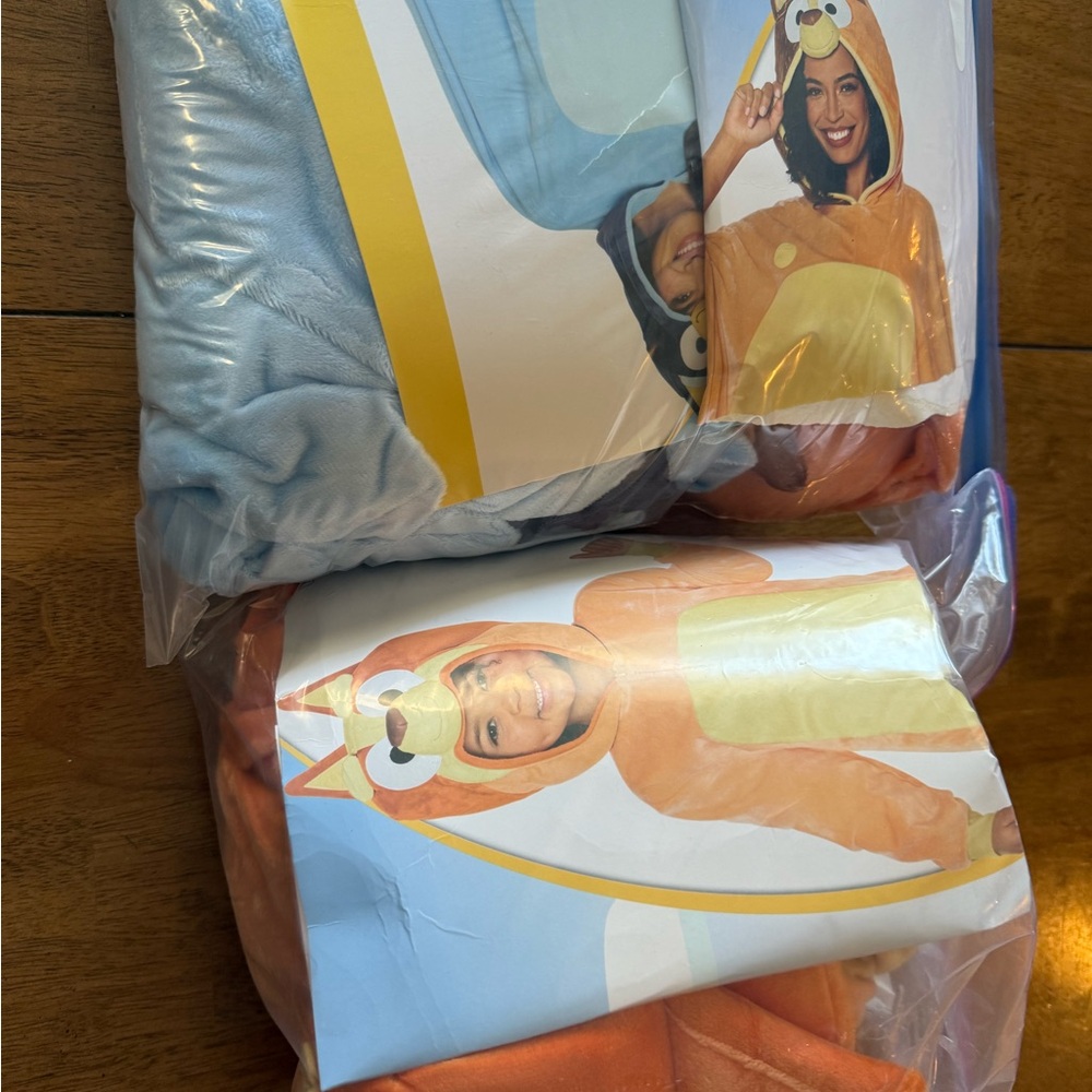 Family Bluey costumes